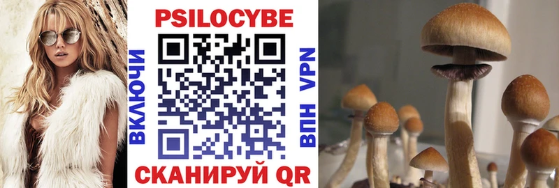 Галлюциногенные грибы прущие грибы  где купить наркоту  Переславль-Залесский 